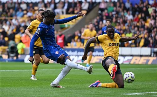 Bet King Mobile: Ultimate Guide to Seamless Betting